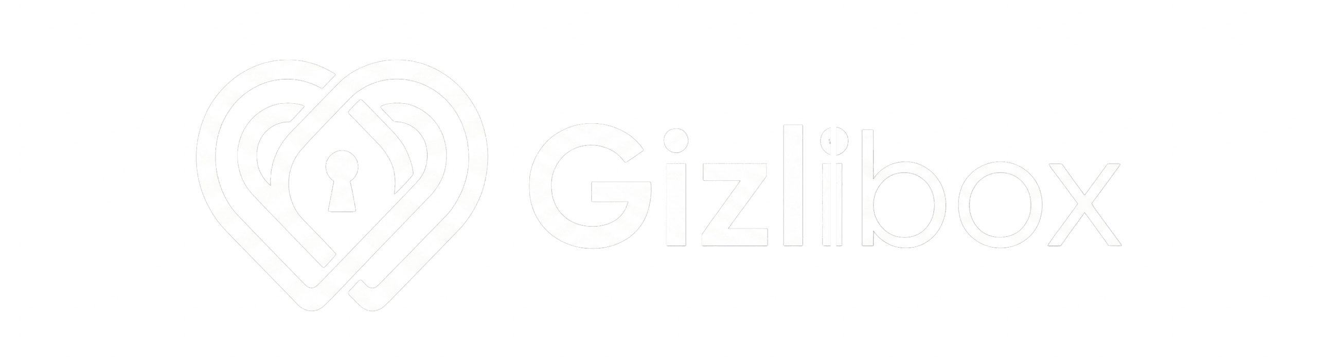 gizlibox